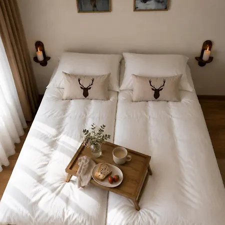 Nordic Haven Near Center I Private Sauna I Wi-fi